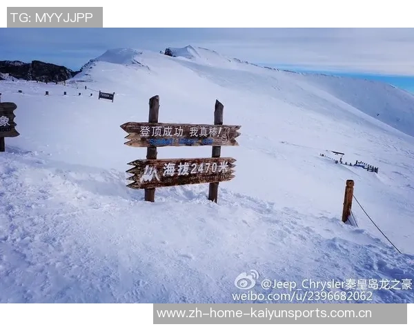 陈静专访：从篮球场到人生舞台的精彩旅程回顾